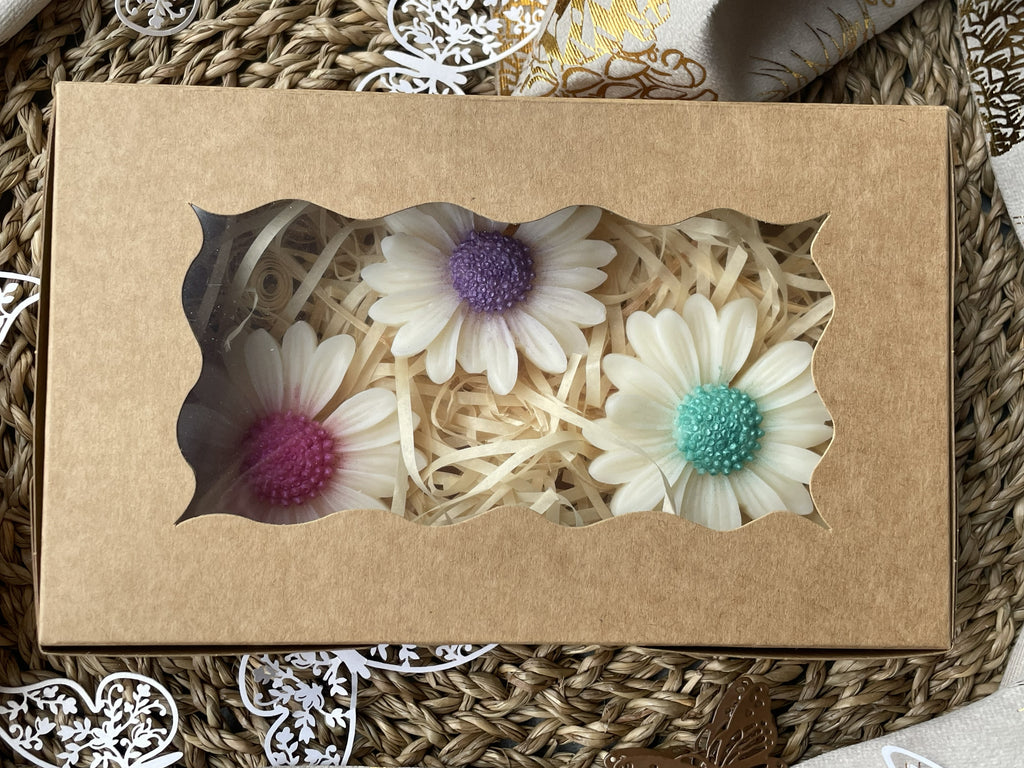 Collection senteur fleur du jardin