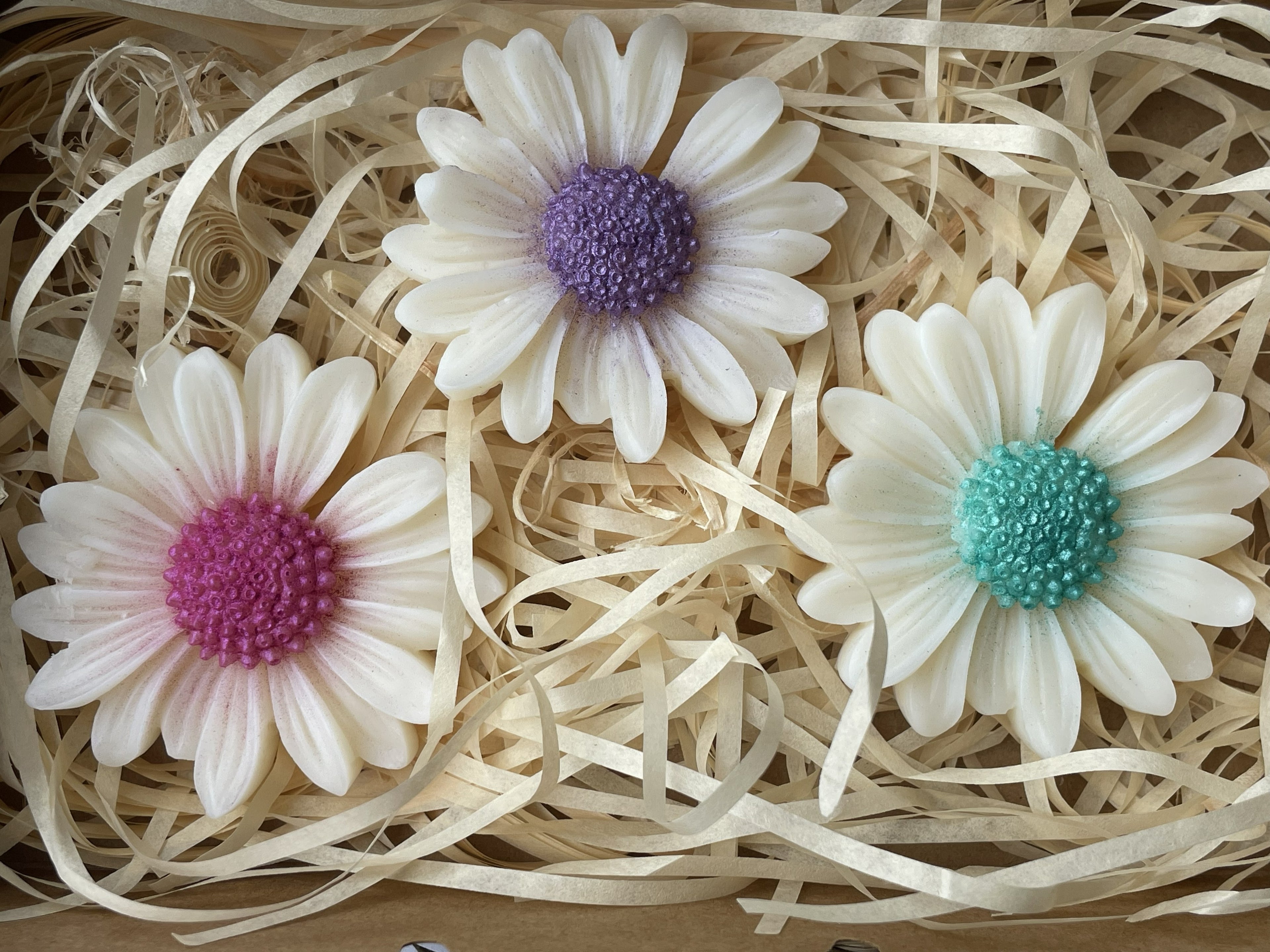 Collection senteur fleur du jardin