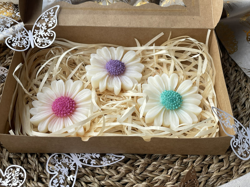 Collection senteur fleur du jardin